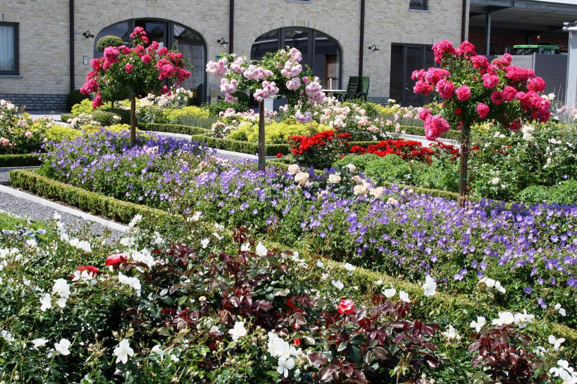 B&B La Vie En Roses 무어셀 외부 사진